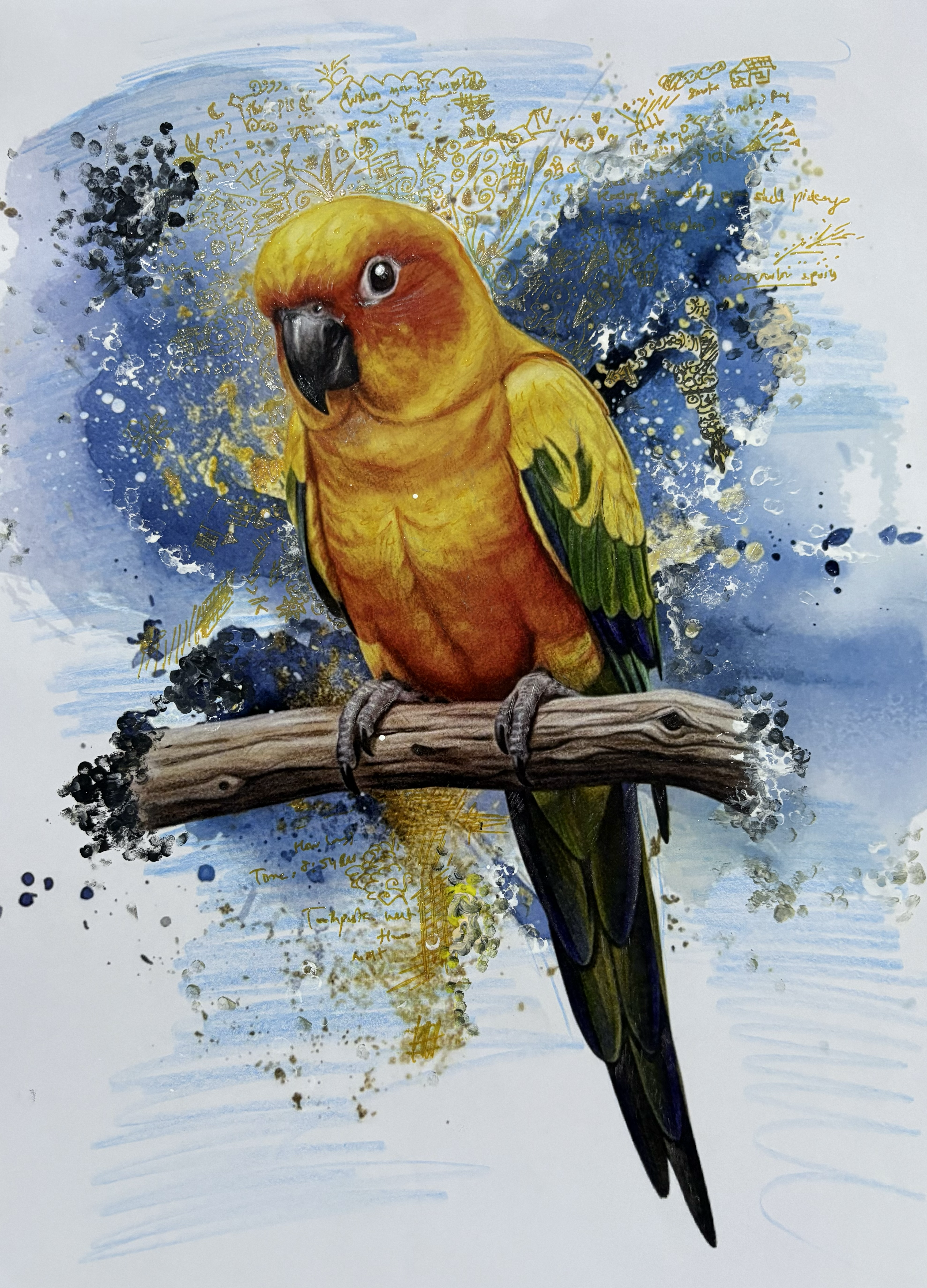 Conure Portrait